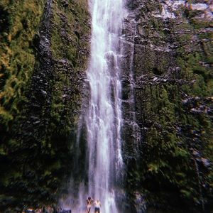 Meet your Posher, Sreya